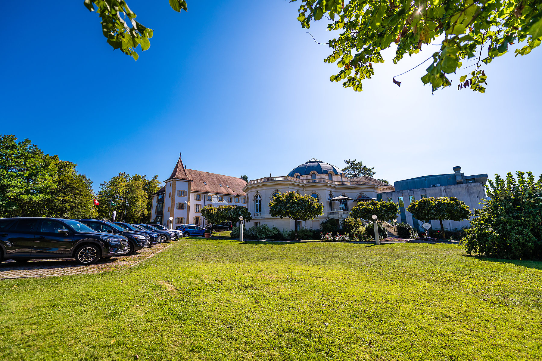 Sluts in Yverdon-les-Bains